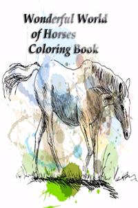 Wonderful World of Horses Coloring Book