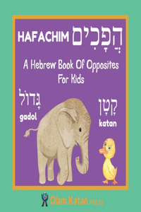 A Hebrew Book Of Opposites For Kids