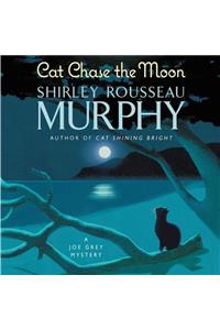 Cat Chase the Moon