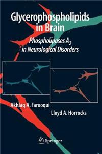 Glycerophospholipids in the Brain