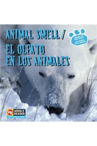 Animal Smell / El Olfato En Los Animales