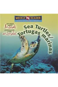 Sea Turtles / Tortugas Marinas