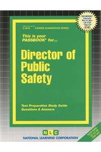 Director of Public Safety