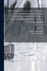 Brain From ape to man; a Contribution to the Study of the Evolution and Development of the Human Brain