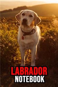 Labrador Notebook