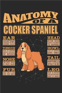 Anatomy Of A Cocker Spaniel