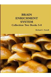 BRAIN ENRICHMENT SYSTEM Collection Two Books 5-8