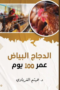الدجاج عمر 100 يوم