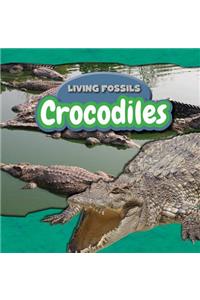 Crocodiles