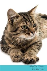 Tabby Cat Presents