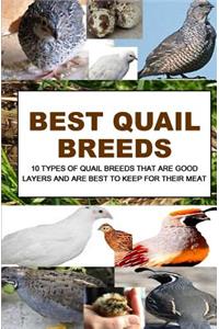 Best Quail Breeds