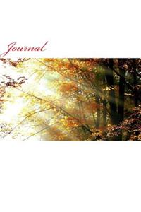 Journal