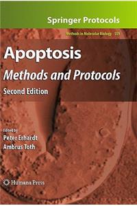 Apoptosis