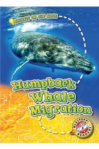 Humpback Whale Migration