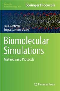 Biomolecular Simulations