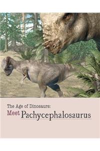 Meet Pachycephalosaurus