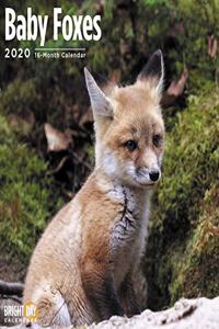 BABY FOXES WALL CALENDAR 2020