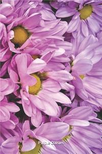 Purple Daisies Journal
