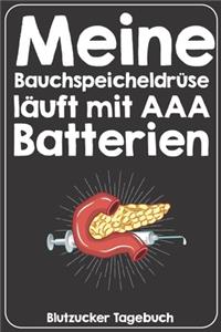 Meine Bauchspeicheldrüse läuft mit AAA Batterien Blutzucker Tagebuch