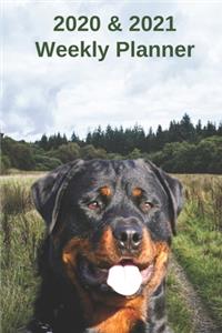 2020 & 2021 Weekly Planner - Two Year Appointment Book Gift - Two-Year Agenda Notebook for Dog Owners