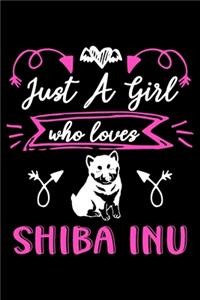 Just a girl who loves Shiba Inu