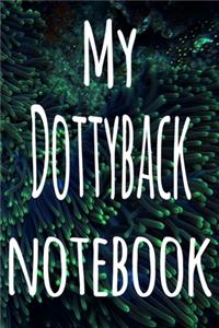 My Dottyback Notebook