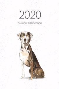 2020 Catahoula Leopard Dog