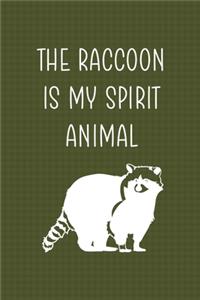 The Raccoon Is My Spirit Animal