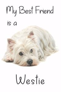 My best Friend is a Westie