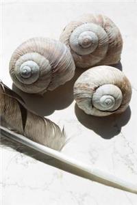 Shells Notebook
