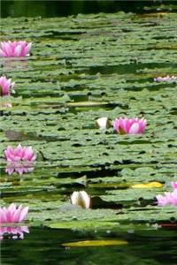 Water Lily Notebook