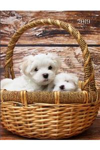 2019 Puppy Daily Planner