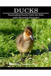Ducks: Fascinating Ducks Facts for Kids with Stunning Pictures!