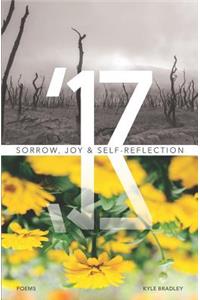 '17: Sorrow, Joy & Self-Reflection