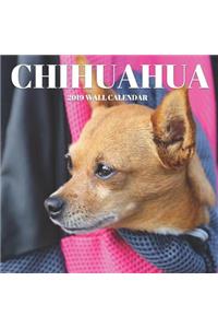 Chihuahua 2019 Wall Calendar