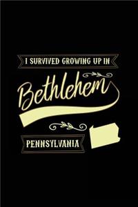 I Survived Growing Up In Bethlehem Pennsylvania