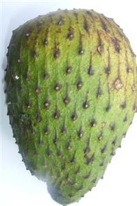 Annona Muricata Soursop Fruit Journal