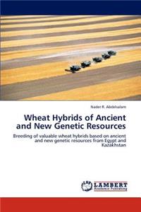 Wheat Hybrids of Ancient and New Genetic Resources