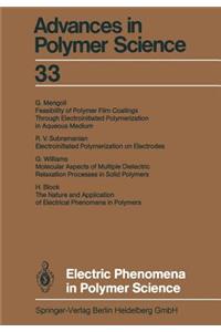 Electric Phenomena in Polymer Science