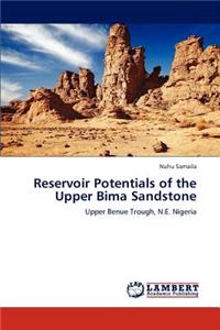 Reservoir Potentials of the Upper Bima Sandstone