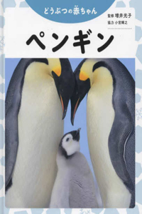 Penguin (Baby Animals)