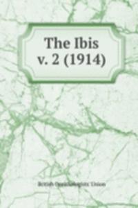 Ibis