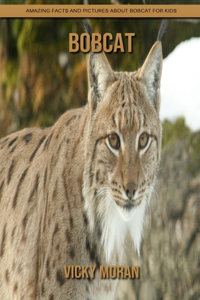 Bobcat