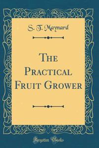 The Practical Fruit Grower (Classic Reprint)