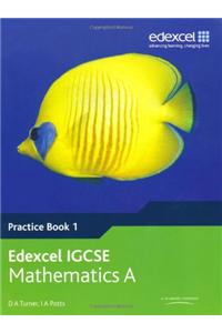 Edexcel International GCSE Mathematics A Practice Book 1