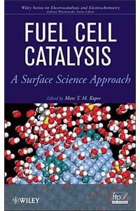 Fuel Cell Catalysis