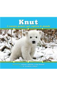 Knut