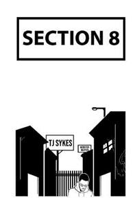 Section 8