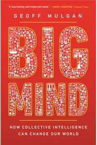 Big Mind