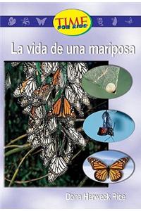 La Vida de una Mariposa